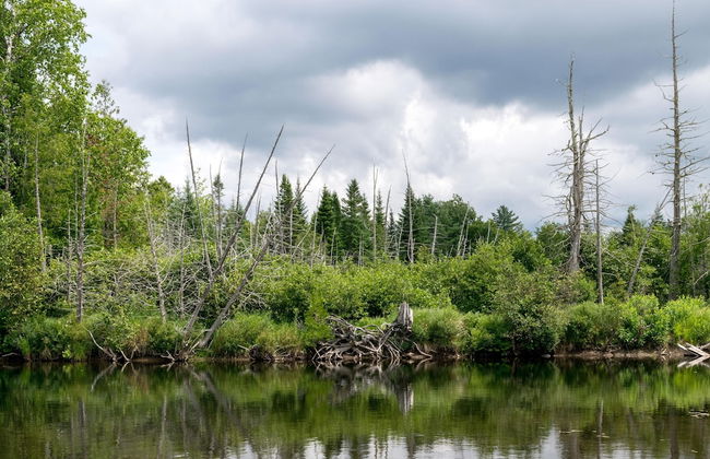 Lake Placid Inn: Residences - Foto 49