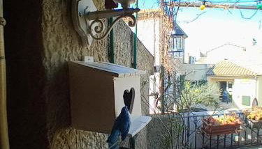 Gîte Chez Dado & Denis Saint Martin d'Ardèche - Photo 4