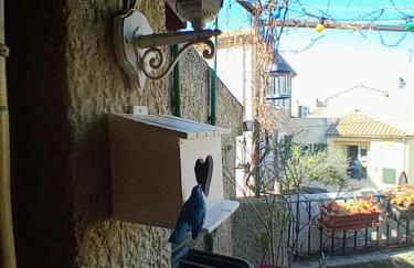 Gîte Chez Dado & Denis Saint Martin d'Ardèche - Foto 4