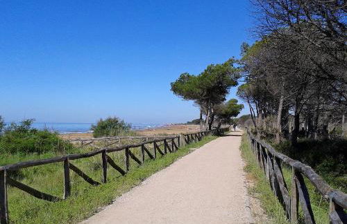 Residence Torcello - Foto 36