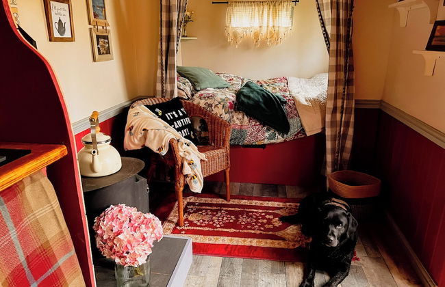 North Norfolk Glamping - Foto 4