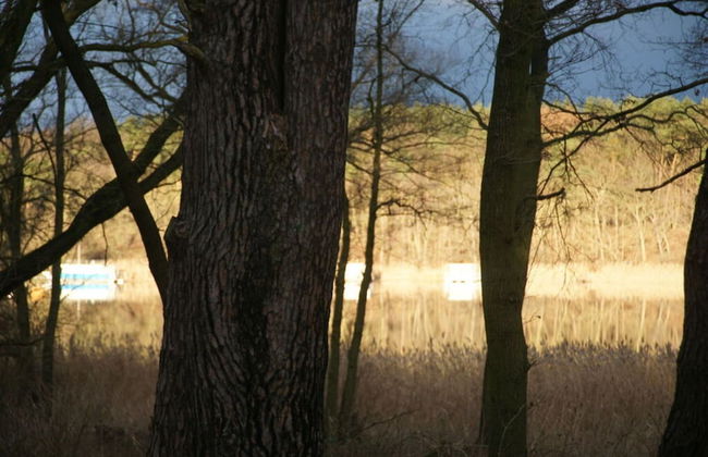 Classy Apartment in Ferchesar - Foto 8