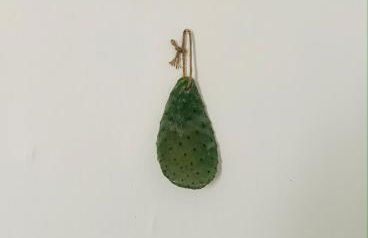 Nonna Annunziata - Foto 30