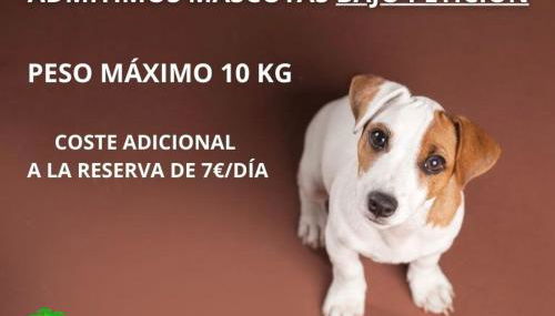 Apartamentos Tesy - Foto 3