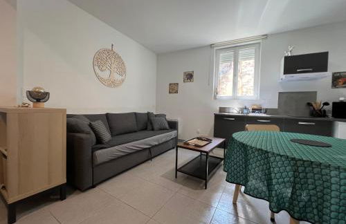 Appartement T2 40 M2 cosy RDC plein centre ville - Foto 6