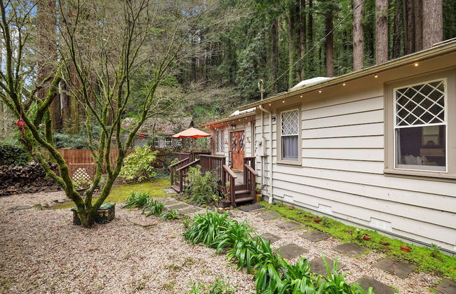 Pacific Coast Redwoods Cabin for Family - Foto 68