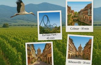 Le Petit Baz'Art 2 pièces proche Colmar - Foto 9