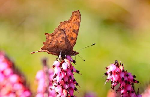Haus der Behaglichkeit - Foto 19