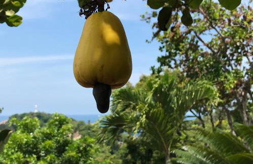 Bangalô dos Sonhos - Foto 33