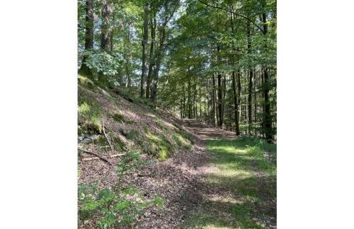 Holiday home Berghouse Elleringhausen - Foto 28