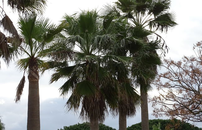 SUEÑA LA BREÑA - Foto 44