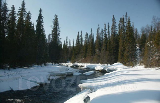 Bear Corner Lodge - Photo 35