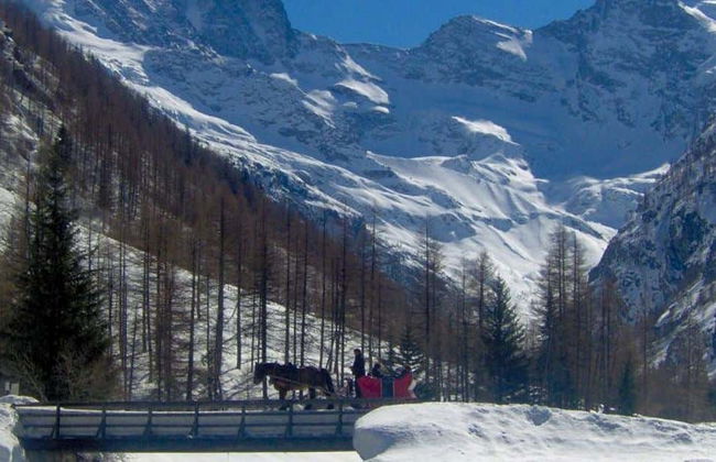Gran Paradiso National Park Carriage Tour - Photo 1