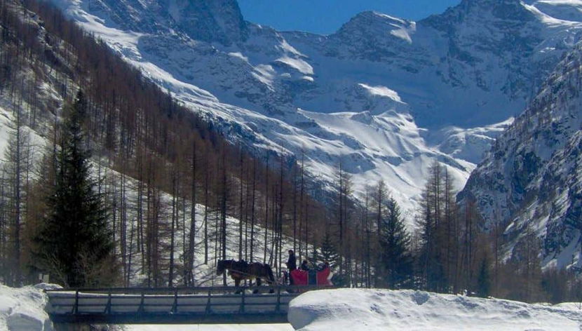 Giro in carrozza sulle Alpi