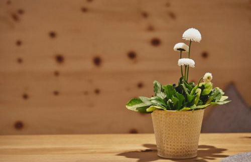 Echt Zeit Apartments - Foto 28