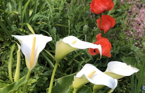 Cyprus Apartment - Foto 14