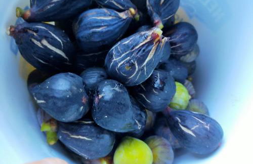 Casa Omaira y Nacho - Foto 7