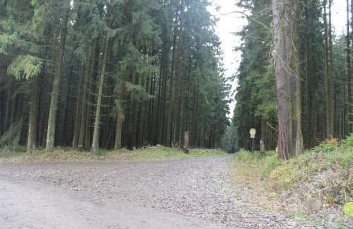 ZumSeehörnchen Haus Schmetterling - Foto 24