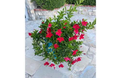 Foresteria San Leo - Foto 18