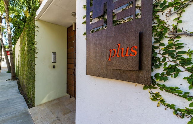 La Papaya Plus 303 by Vimex - Foto 19