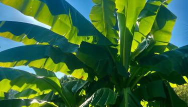 Am Stephanswäldchen - Foto 5, Garden