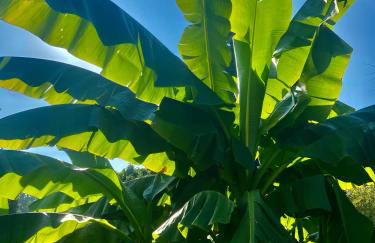 Am Stephanswäldchen - Foto 5