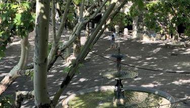 La bohème place aux herbes - Foto 3, Garden view