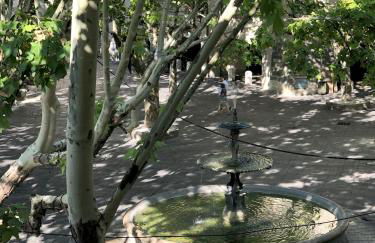 La bohème place aux herbes - Foto 3