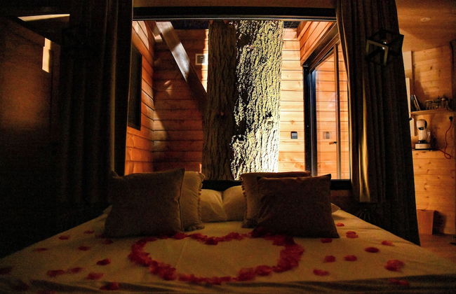 Domaine des Étoiles - Photo 21