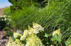 Domki Fala Family - Foto 4