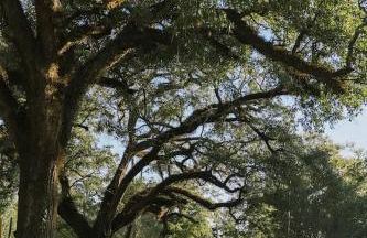 Cozy Downtown Gem Fully Equipped Free Parking - Photo 26