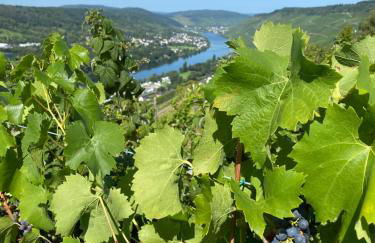 Apartment an der Mosel 1 - Foto 22