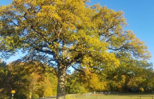 Ferienwohnungen Haus Talblick - Foto 58