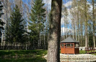 Osada Gęsin - Foto 17