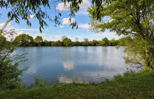Le chalet du bord de Saône - Foto 42
