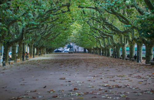 Nido PADRON - Foto 36