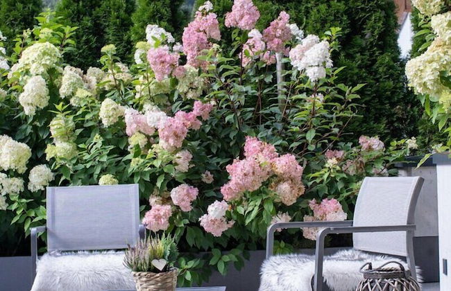 Sunny Ferienwohnungen - Foto 63