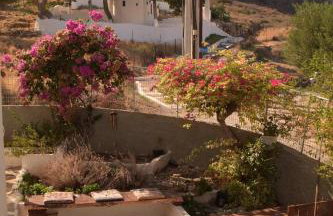 Myron & Gabby's House - Photo 12