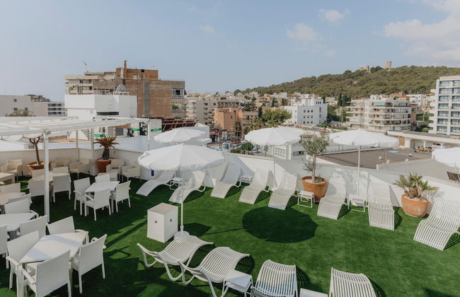 Gomila Palma Apartments - New Opening - Photo 46