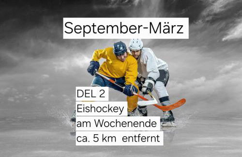 Moderne Ferienwohnung,Sauna im Haus, Parkplatz Hunde willkommen, nahe Schloss, Waldeisenbahn, Hermansbad, UNESCO Geopark, nahe polnischer Markt, Top Lage für Ausflugsziele zum Wandern oder Radfahren - Foto 19