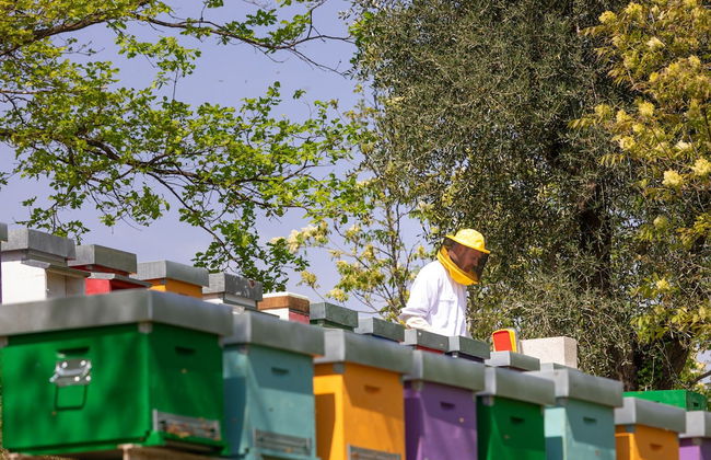 Agriturismo Borgo il Mezzanino - Foto 42