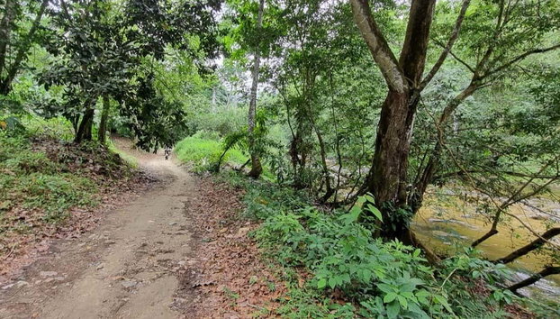 Laguna Encantada Tour - Photo 5, Hike to Laguna Encantada