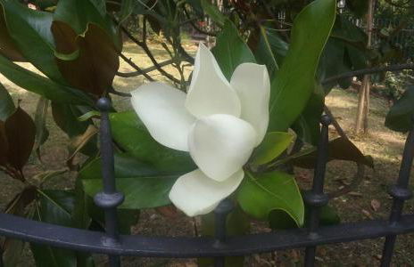 A fine 2 bedroom stone house in Emila - Photo 8