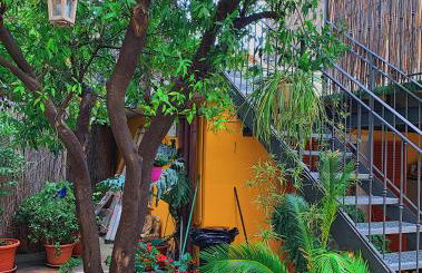 Agriturismo Il Vecchio Mulino - Foto 15