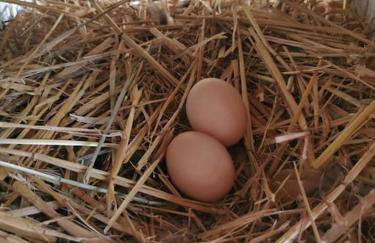 FeWo Albrecht direkt am Diemelsteig - Foto 30