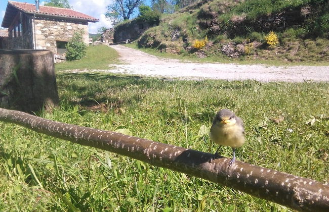 La Costa de Mollo - Foto 61