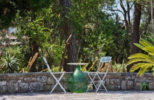 Masseria Trulli&Stelle B&B - Foto 47