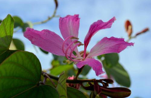 Residencial Portinari LTDA - Foto 54