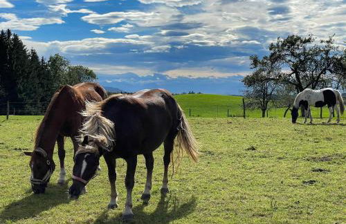 Ferienwohnung Hintermoos - Foto 54