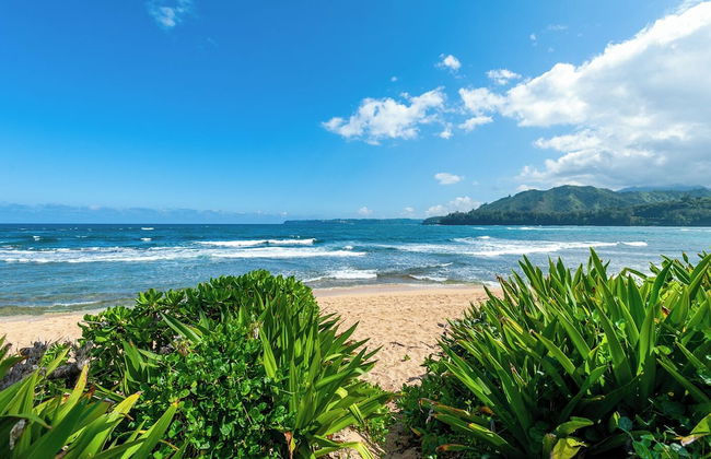 Hanalei Colony Resort I-2 - Foto 34